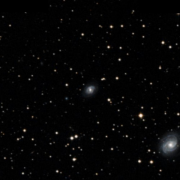 NGC 7043