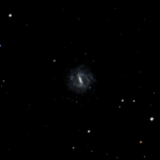 NGC 600