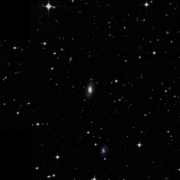 IC 1343