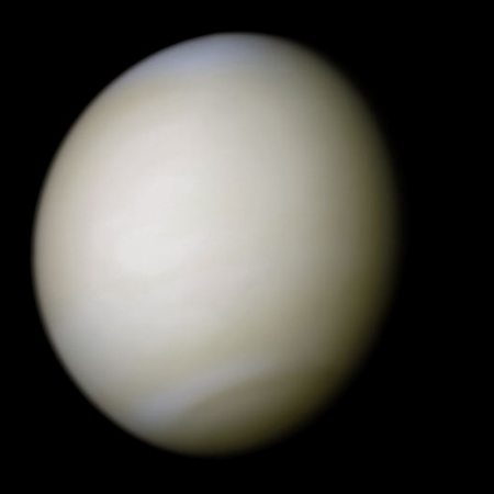 Image of Venus