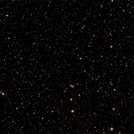 Image of IC1316