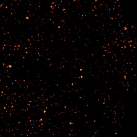 Image of Barnard 314