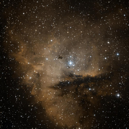 Image of IC11