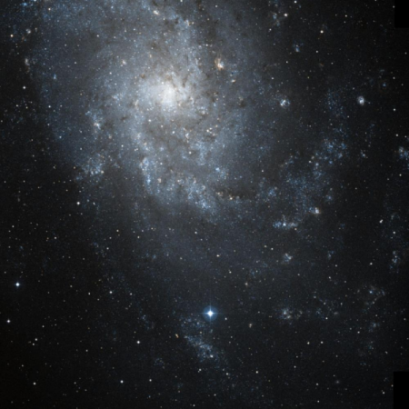 Image of IC137