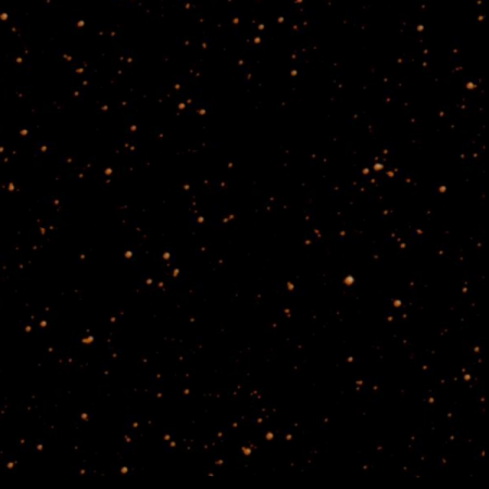 Image of NGC6698