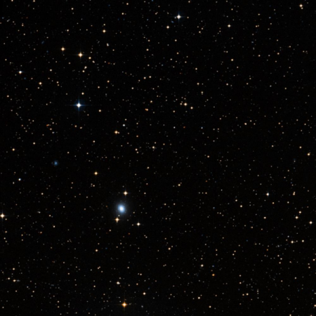 Image of IC955