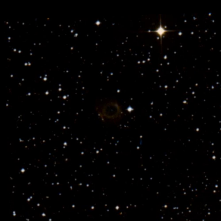 Image of PK341-24.1