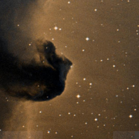 Image of the Horsehead Nebula