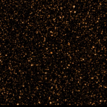 Image of PK351-06.1