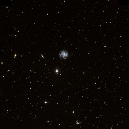 Image of IC974