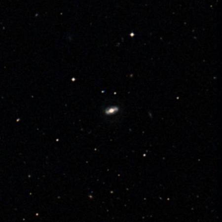 Image of Markarian 955