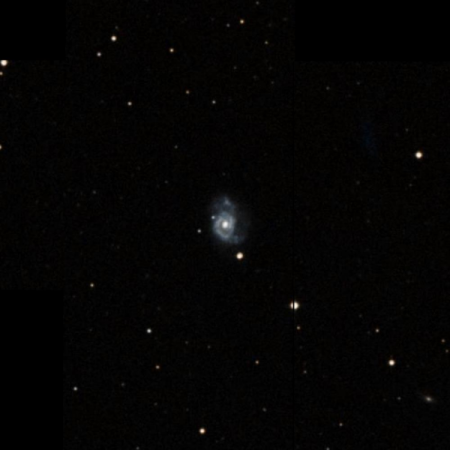 Image of NGC7794