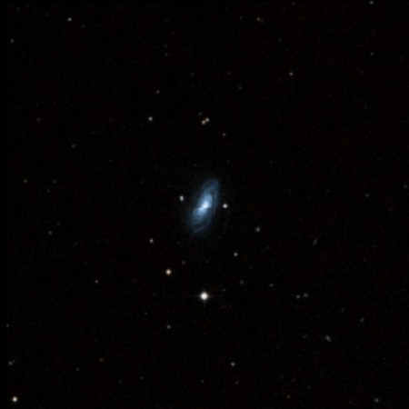 Image of NGC2955