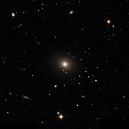 Image of NGC1167
