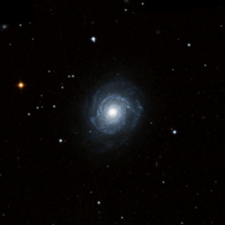 Image of NGC3147