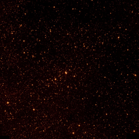 Image of TYC-8706-559-1