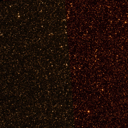 Image of TYC-8707-1186-1