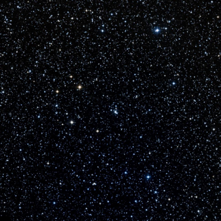 Image of TYC-3615-1224-1