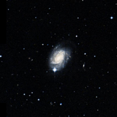 Image of NGC4981
