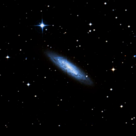 Image of NGC3175