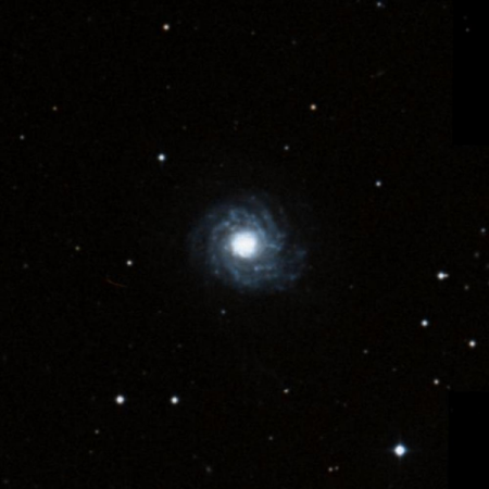 Image of NGC4041