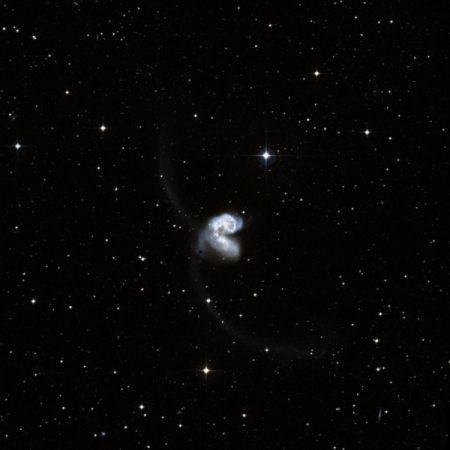 Image of the Ring Tail Galaxies