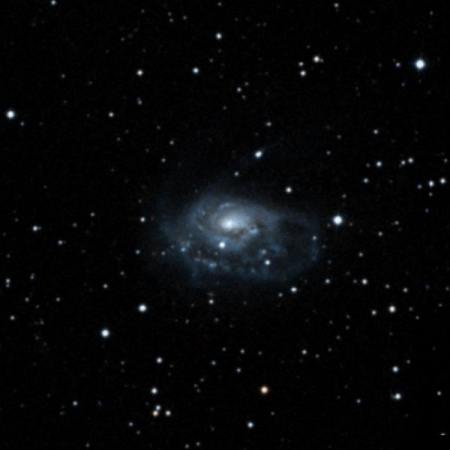 Image of NGC1961