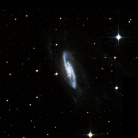 Image of NGC3981
