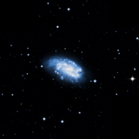 Image of NGC1559