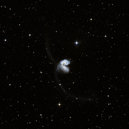 Image of Arp 244