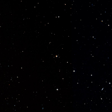 Image of Koeia