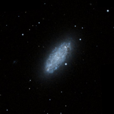 Image of NGC2976