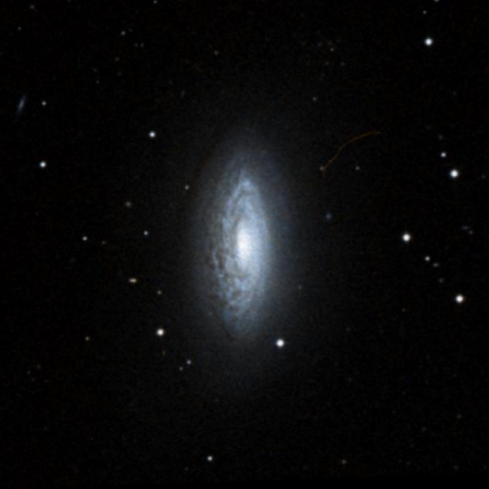 Image of NGC3675