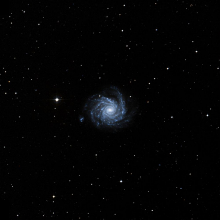 Image of Arp 41