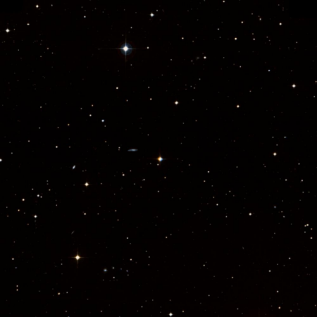 Image of Intan