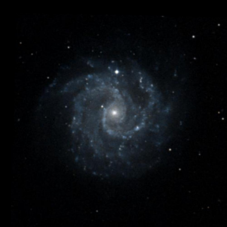 Image of NGC3184