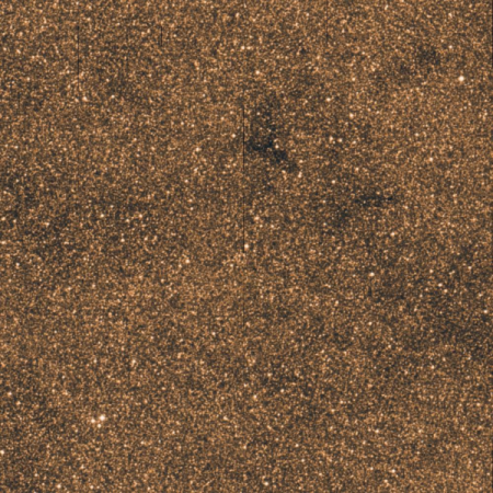 Image of Pincoya
