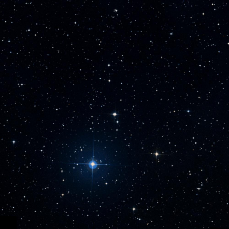 Image of Ceibo