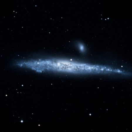 Image of the Whale Galaxy