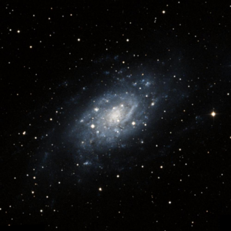 Image of NGC2403