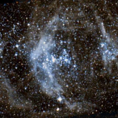 Image of NGC1955