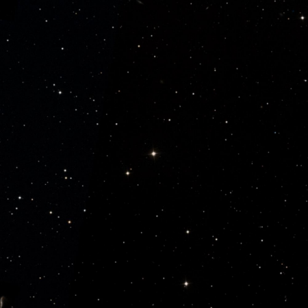 Image of Funi