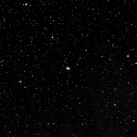 Image of Karaka