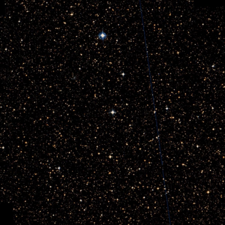 Image of Natasha