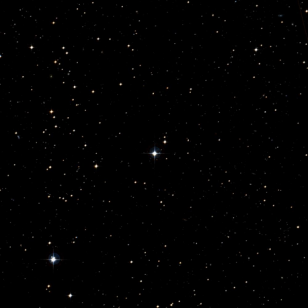 Image of Sāmaya