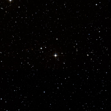 Image of Bosona