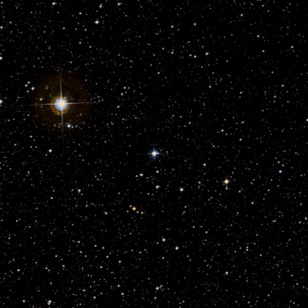 Image of Kalausi