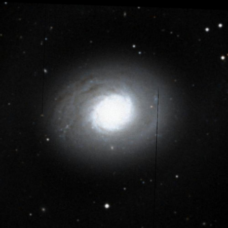 Image of M94