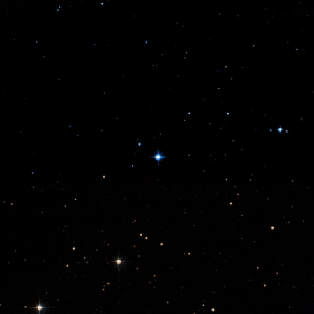 Image of Axólotl