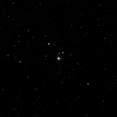 Image of Dingolay